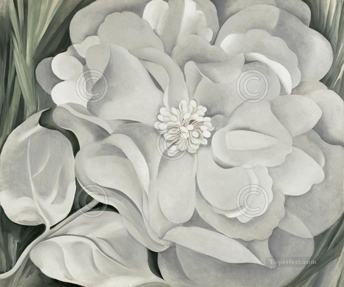 白いキャラコの花油絵